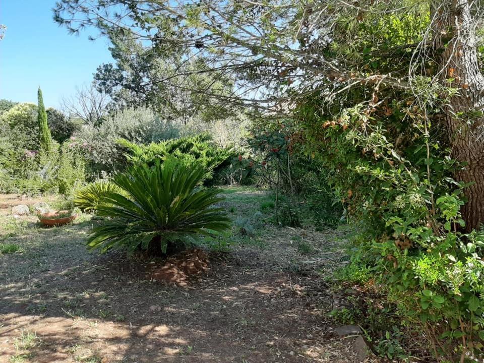 Mas Provençal au Cannet des Maures Le Cannet-des-Maures Exterior foto